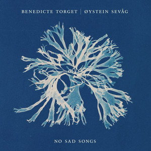It's Over Now by Benedicte Torget, Øystein Sevåg