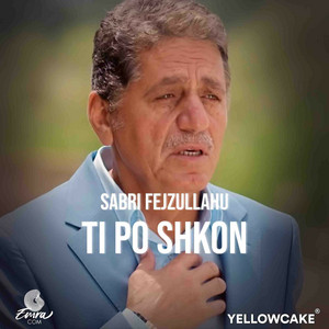 Ti po shkon by Sabri Fejzullahu