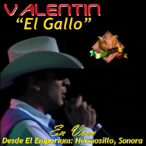 Valentín "El Gallo" - Los Pájaros (En Vivo)