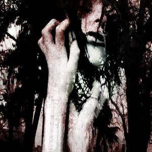 Insanity - song and lyrics by Ka1zer, Alex Cheef | Spotify
