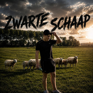 Zwarte Schaap by Spruit