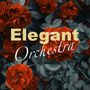 Lowtone Music - Elegant Orchestra