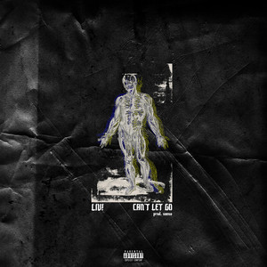 Can't Let Go by LIV!