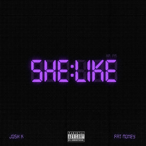 She Like by Josh K, Fat Money
