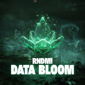 Data Bloom by RNDM!