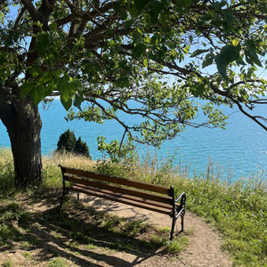 Lonely Bench by Telli Jan