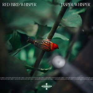 Red Bird Whisper by Jasper Whisper, Flame Timo, Sensory Meditation