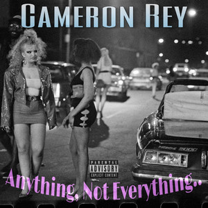 Portada de Anything, Not Everything..