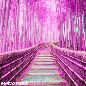This breeze is so musical by Bamboo Breeze