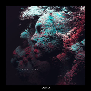The Owl cover art