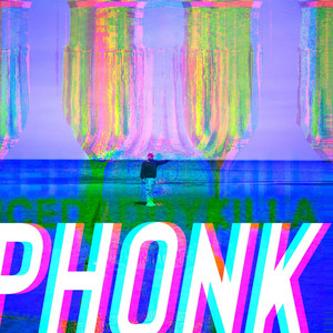 PEREPUTAL (PHONK)