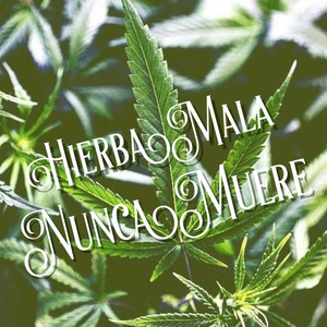 Hierba Mala Nunca Muere - Compilation by Various Artists | Spotify