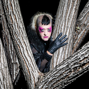 Take It - SIERRA VEINS Remix by Peaches, SIERRA VEINS
