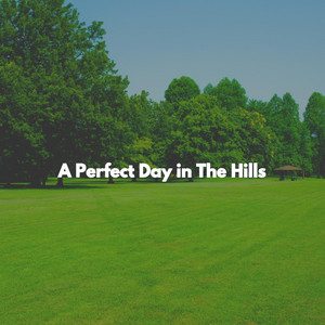 A Perfect Day in The Hills album