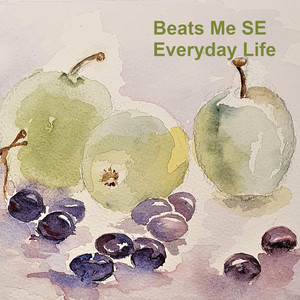 Everyday Life album