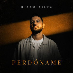 Perdóname by Diego Silva
