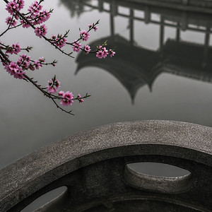 Tranquil Mood by Yulin Zhanh