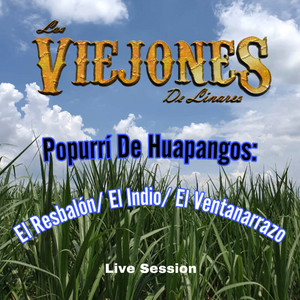 Los Viejones De Linares - PopurrÍ De Huapangos: El Resbalón/El Indio/ El Ventarronazo (Live Session)