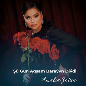 Amalia Zehin - Şü Gün Agşam Baraýyn Diýdi