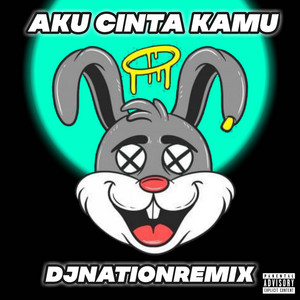 DJNATIONREMIX - Aku Cinta Kamu