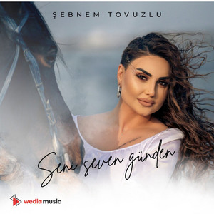 Şebnem Tovuzlu - Seni Seven Günden