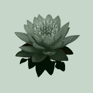 Blumen
