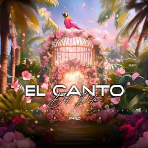 El Canto Del Pilon - Brooklyn Version by Tata Smalls