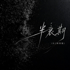 半衰期 - DJ阿智版 by DJ阿智, DJ阿布