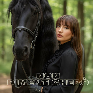 NonDimenticherò by ShizaKu