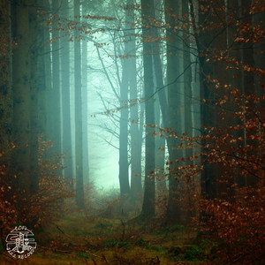 Ritual Of Bones by Dosi, D0d.