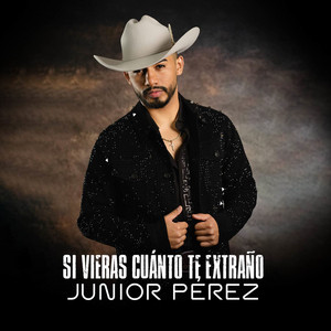 Si Vieras Cuánto Te Extraño