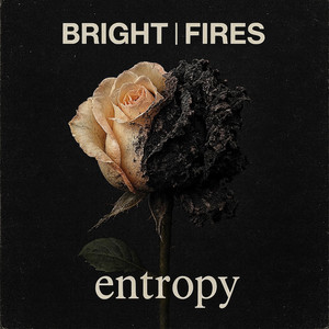 Entropy by Bright Fires