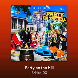 Party on the hill by Brisko100