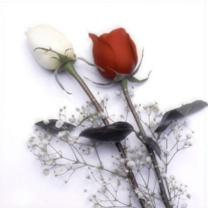 You Know by Press Play