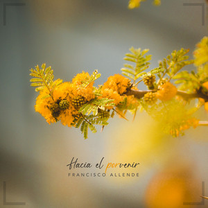 Hoy by Francisco Allende