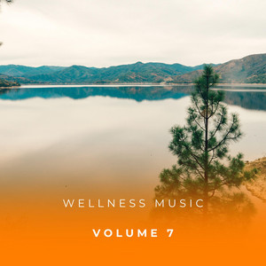 Wellness Music Vol. 7