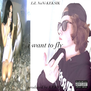 i want to fly