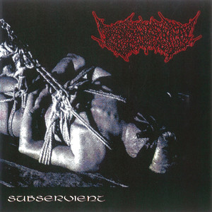 An Offering of Vitality by Consanguinity, Anatomize