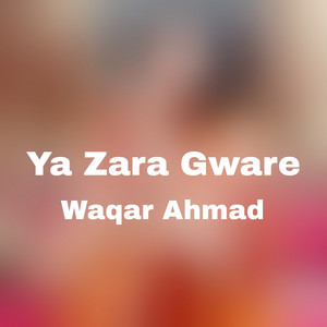 Waqar Ahmad Wazir - Ya Zara Gware