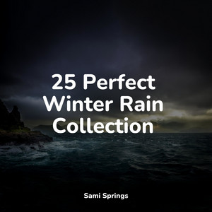 25 Perfect Winter Rain Collection album