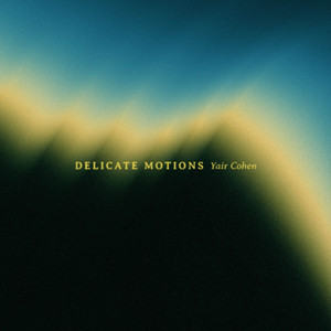Delicate Motions by Yair Cohen