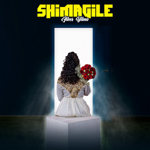 Fiker Yilma - Shimagile