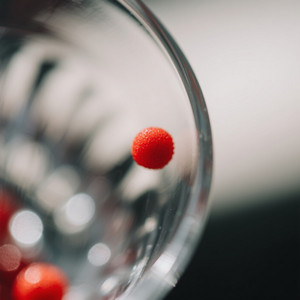 ROBERT BRIAN WALTERS - ชีวิตที่เต็มไปด้วยหนาม