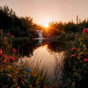 the softest hour of the day by The Camp