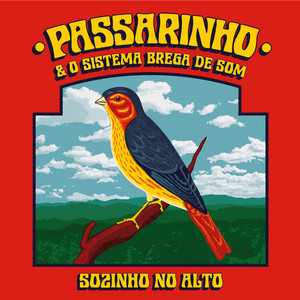 Rua da Alegria by Passarinho & O Sistema Brega de Som
