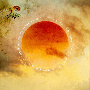 Sundancer by Cutflowers
