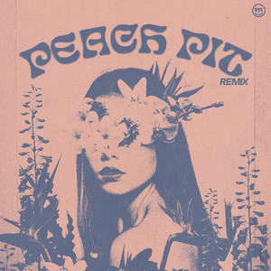 Peach Pit (Louis La Roche Remix) cover art