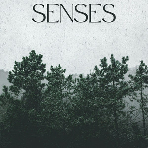 Senses by Vinaphim