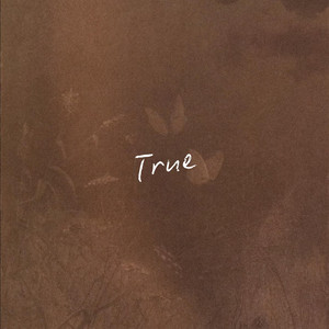 True by Bryson Jarrett