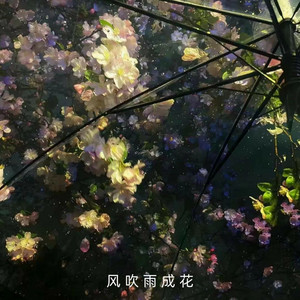 风吹雨成花 by TypeD